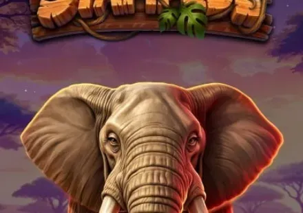 Super Stampede — automat Wintino
