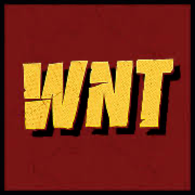 Wintino